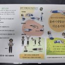몸펴기 생활운동 Daum카페