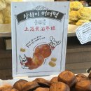 목화 | 제주스냅 러베이 촬영 후기(부케🌷목화수반/👗드메-니브/👔슈트-슈트패브릭 제주점)