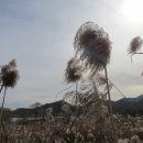 부곡수변공원 네이버블로그