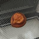 씨유(CU) 동군포역점 | cu 소금버터떡 픽업 후 먹어본 후기/ 가격, 칼로리, 맛 상세후기