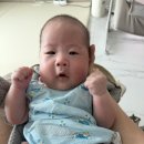 토&토쟁이 | 75일차 토쟁이 아기 분유 변천사, 돌고 돌아 골든저지로 정착한 후기