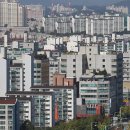선도 이미지
