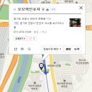 모모포차 이미지