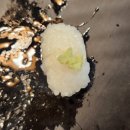 거제도 한우 맛집 추천 거제 능포 맛집 한우에피소드 두번째이야기