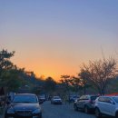 거북애견 이미지