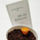 친환경 그린 가드닝 이미지