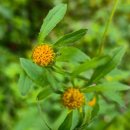 북한강물새길(봄내길 7코스) 이미지