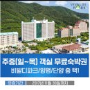 대명MMS