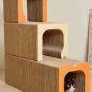 캣 팰리스 이미지