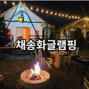 채송화글램핑 | 영천여행 - 글램핑장과 까페가 한 곳에, 영천 채송화글램핑 준비물과 후기