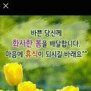 늘좋은날 - 홍성군 | 늘좋은날