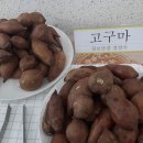 박혜정농장 이미지