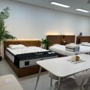 보물단지 | 대구가구 단지에서 찾은 보물, 썸앤데코 대구쇼룸 방문후기