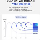 말문이 터지는 영어 | 스픽 후기｜매일 10분, 영어 말문이 터지는 실전 훈련