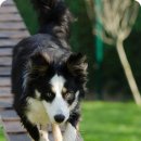 웨이트 트레이닝 이미지