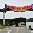 보령화원 이미지