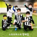 방배로31길 36 (1) 이미지