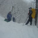 하늘정원장 이미지