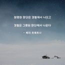 하루베리