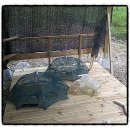 숲속의 샘물 캠핑장 이미지