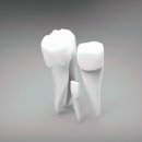 운정퍼스트치과의원 이미지