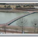 하천(갑천4) 이미지