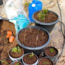 서당골축산 이미지