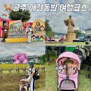 고마촌 | 충남 공주 여행 코스 가볼만한곳 백제문화제 미르섬 공산성 애견동반