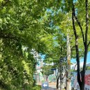 정평역 4번출구 이미지