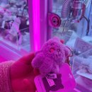 쌍사뽑기방 이미지