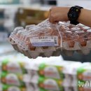 우리계란마트 이미지