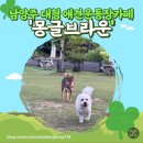 와부 운동장 화장실 | 남양주 별내 2,000평 규모의 대형운동장 애견카페 ‘몽글브라운’ (내돈내산)후기