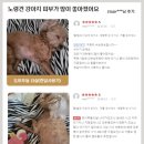 누바 | 강아지약산성비누바 펫토벤 비누바 후기