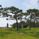 밀성군 묘역 및 신도비 네이버블로그