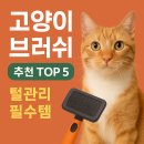 Top groomer | 🐱 고양이 브러쉬 추천 TOP 5 | 털관리 필수템 비교 &amp; 선택 가이드