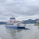 아기강아지 | 남이섬 아기 강아지 동반 다녀온 후기 주차팁