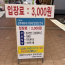 함안-2 | 2025년 함안 강주 해바라기 축제 후기 (7월 2일 기준)