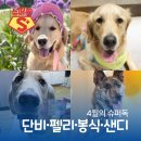 봉식동물병원 이미지