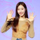 방가방가 스타데일리뉴스 