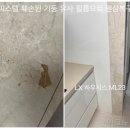 마인드에코프라움 | 구로 오피스텔 훼손된 몰딩 원상복구