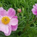 청송군청 이미지