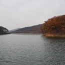 창만3리 티스토리