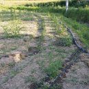 관수농장 이미지