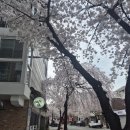 미음나루음식문화특화거리 | 한강변 봄꽃 보며 고기 한 점｜미음나루 가성비 정육식당 추천 "정육식당오는길" 남양주 미음나루 뜻