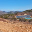 매화 태양광발전소 이미지