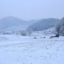 장태울다리 이미지