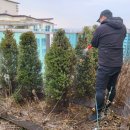 제이엔조경(주) | 파주 옥상조경 벽면녹화 시공 전문 제이엔조경