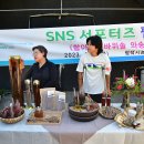 항아리와바위솔 이미지