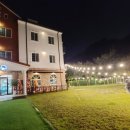 왕짱 애견스쿨 이미지