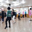 라인댄스(야) 이미지